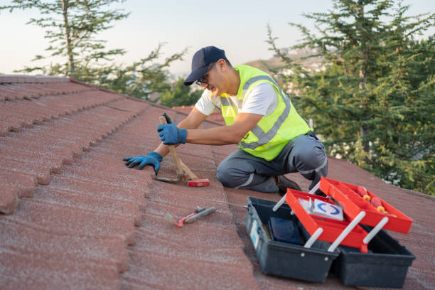 Roof Gutter Cleaning in Logan, NM